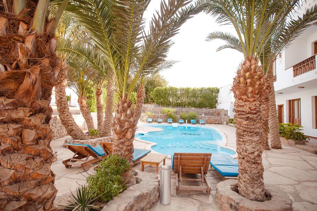 Dahab Divers Экстерьер фото