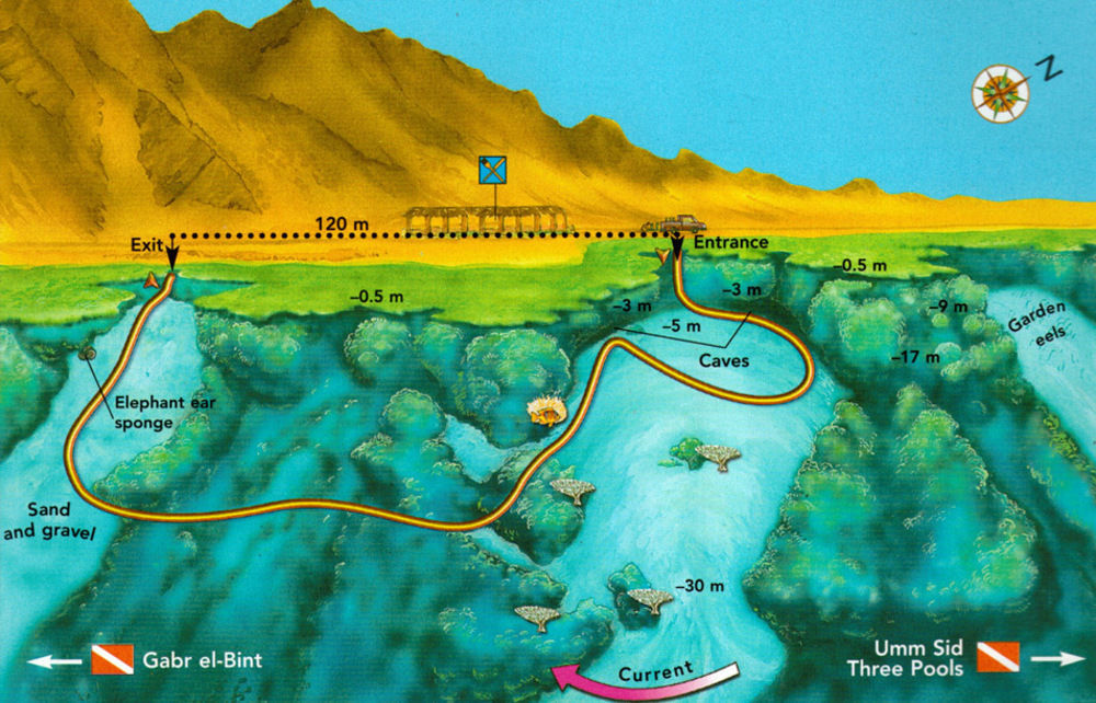 Dahab Divers Экстерьер фото