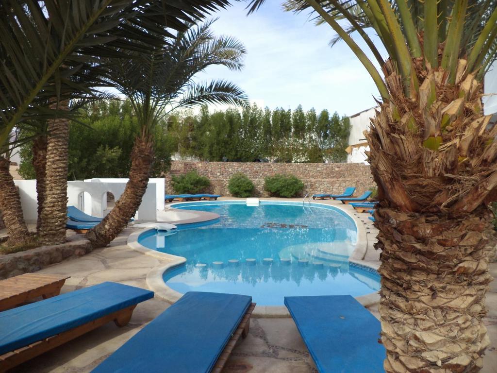 Dahab Divers Экстерьер фото