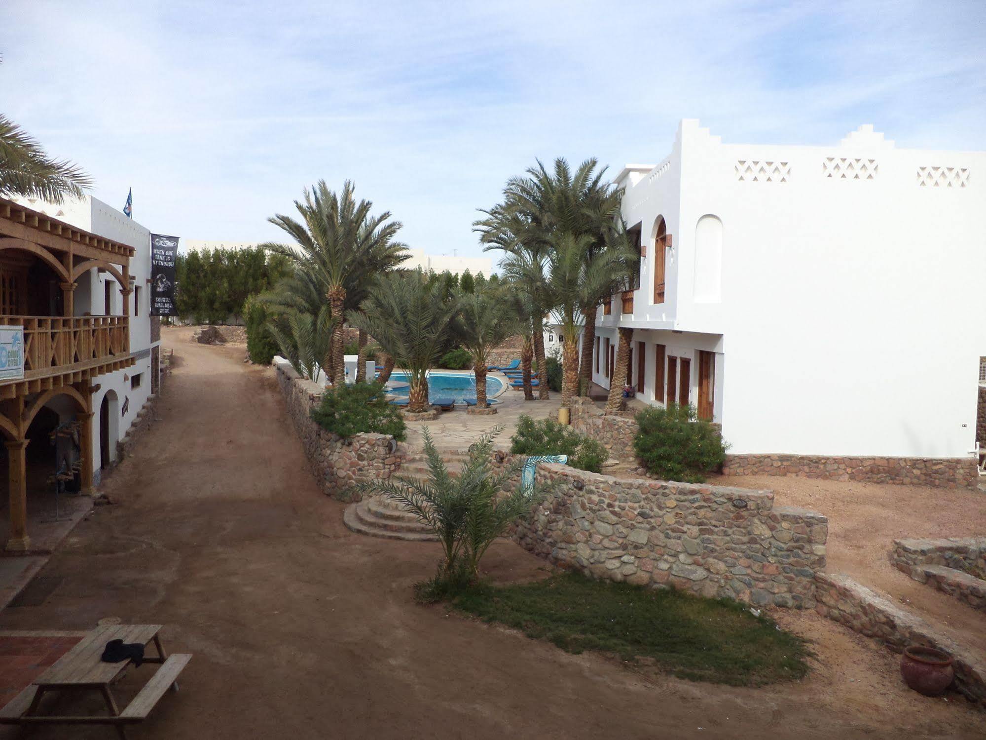 Dahab Divers Экстерьер фото